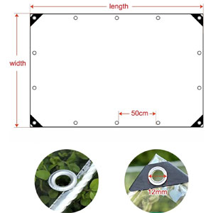 transparent-tarp-exporter.jpg transparent-tarp-exporter.jpg