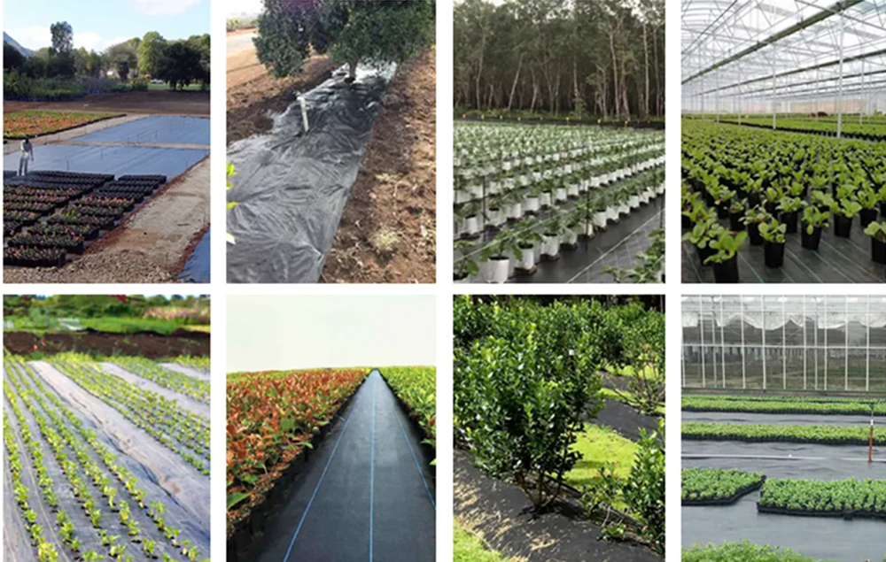 Detailed Images of Greenhouse Debris Collection Tarp Detailed Images of Greenhouse Debris Collection Tarp