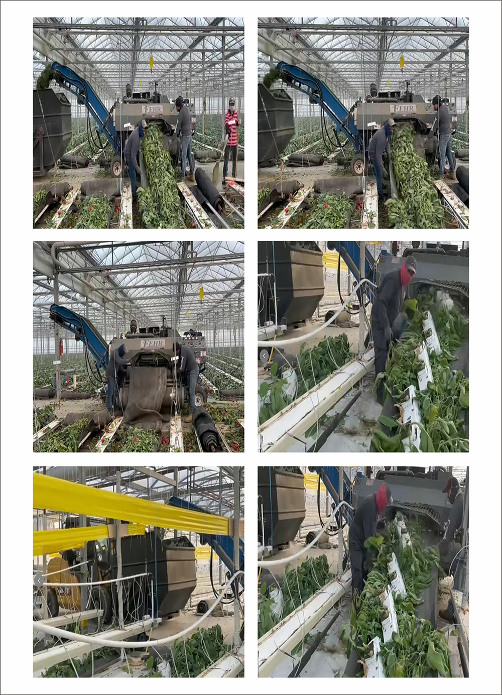 Detailed Images of Greenhouse Debris Collection Tarp Detailed Images of Greenhouse Debris Collection Tarp