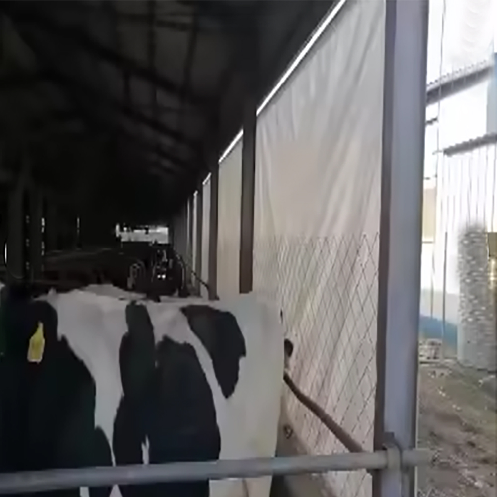 Detailed Images of Livestock Tarps Detailed Images of Livestock Tarps