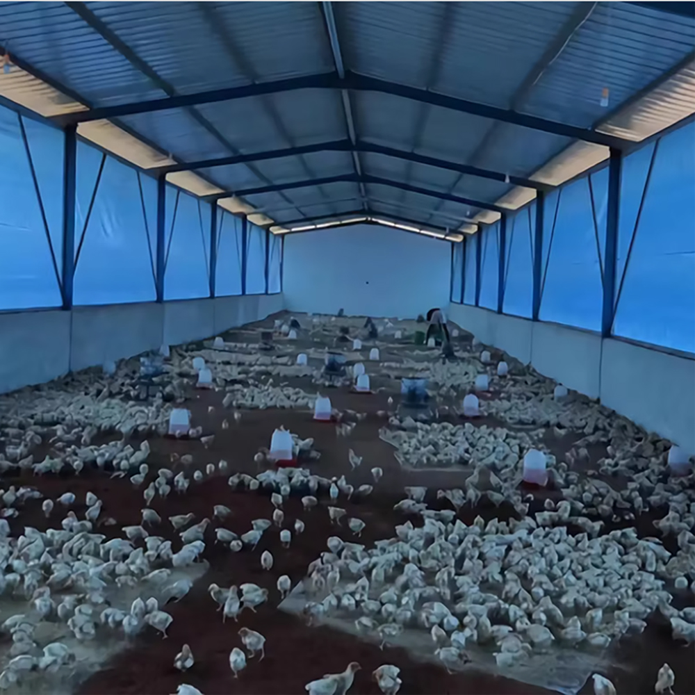 Detailed Images of Livestock Tarps Detailed Images of Livestock Tarps